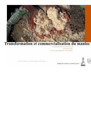 Transformation et commercialisation du manioc - FIDAfrique