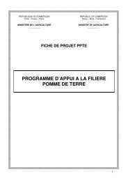 programme d'appui a la filiere pomme de terre - FIDAfrique