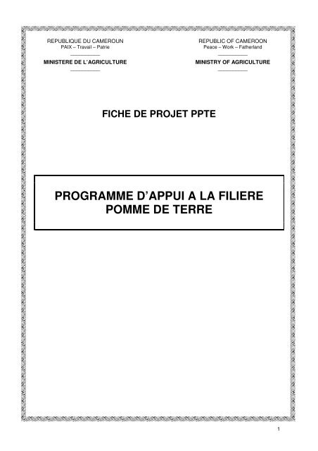 programme d'appui a la filiere pomme de terre - FIDAfrique