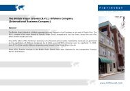 The British Virgin Islands (BVI) Offshore Company