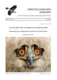 Bd. 49 Heft 1.pdf - OG Bayern