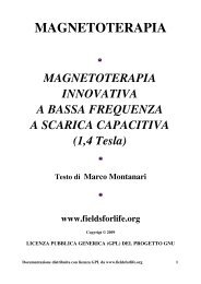 MAGNETOTERAPIA - Fieldsforlife.org