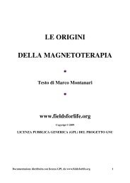 LE ORIGINI DELLA MAGNETOTERAPIA - Fieldsforlife.org