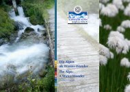 Die Alpen als Wasser-Wunder The Alps: A Water Wonder - Fiesch