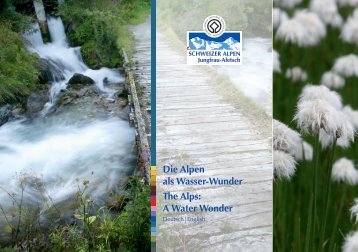 Die Alpen als Wasser-Wunder The Alps: A Water Wonder - Fiesch