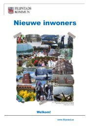 (Microsoft PowerPoint - Nieuwe inwoners 2012 ... - Filipstad