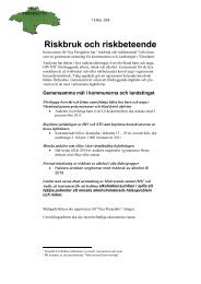 Riskbruk och riskbeteende - Filipstad