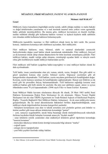 Mülkiyet, Fikri Mülkiyet, Patent ve Avrupa Patenti