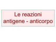 antigene - anticorpo