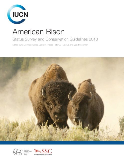 American Bison - Buffalo Field Campaign