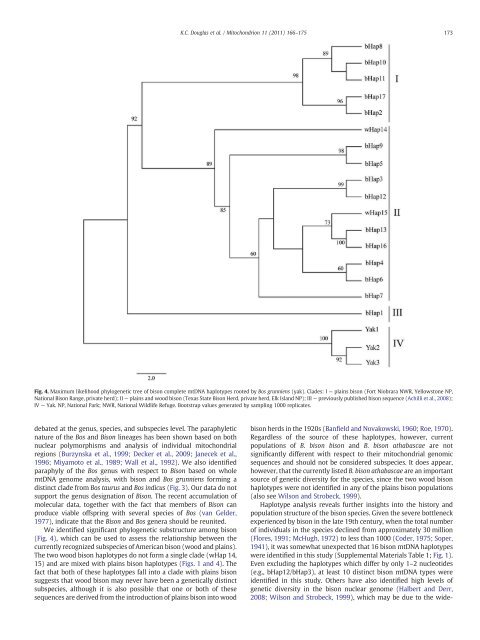 Complete mitochondrial DNA sequence analysis of Bison bison and ...