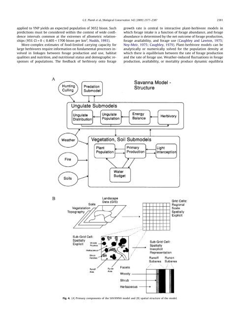 Carrying capacity, migration, and dispersal in ... - ResearchGate