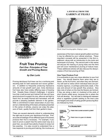 Fruit Tree Pruning - Filoli