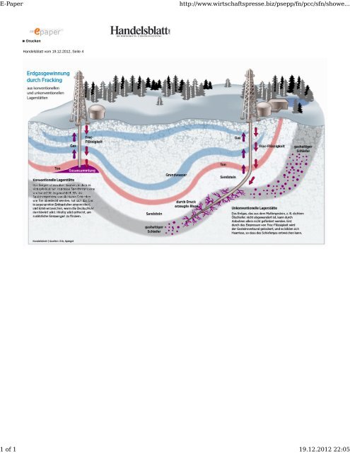 Schema Fracking.pdf