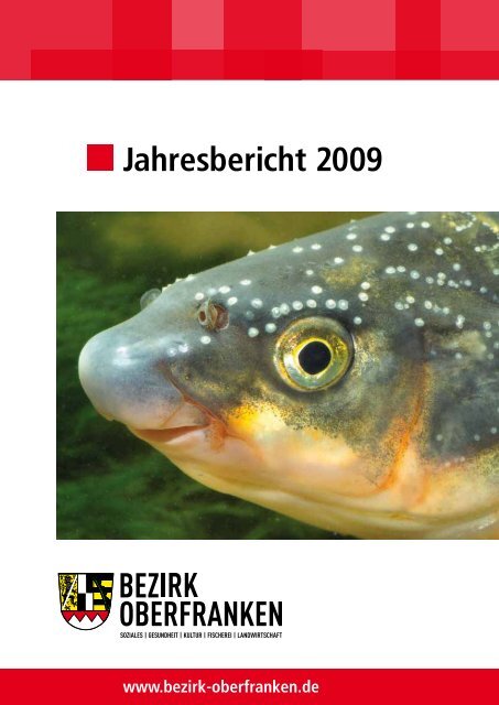 Jahresbericht 2009 - Bezirk Oberfranken