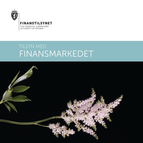 Tilsyn med finansmarkedet - Finanstilsynet