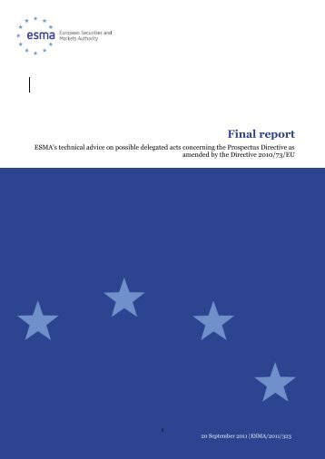 Final report - Finanstilsynet