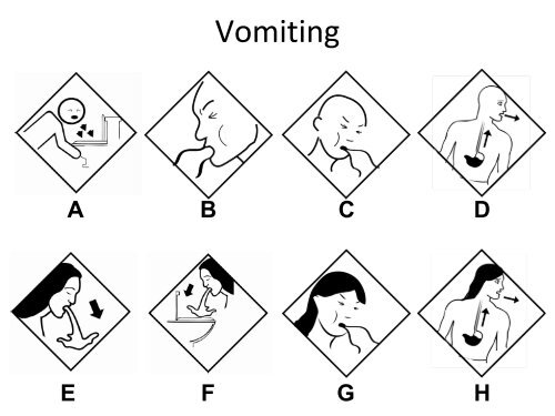 FIP Side Effects Pictogram Survey Paper version