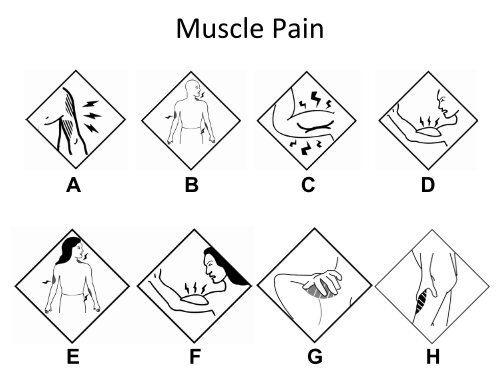 FIP Side Effects Pictogram Survey Paper version