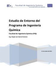 Estudio de Entorno del Programa de Ingeniería Química - FIQ ...