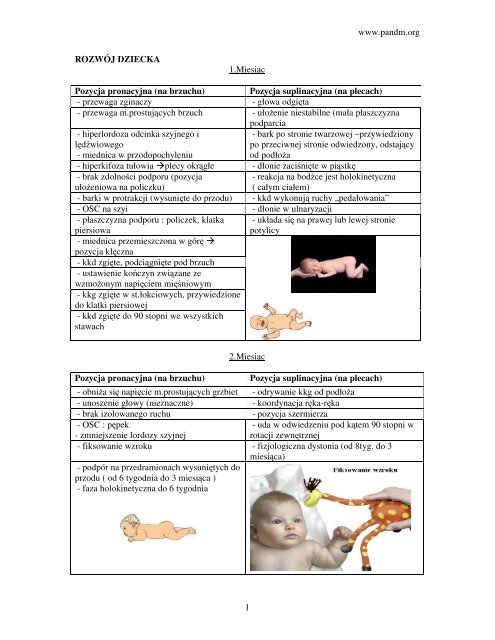 neurofizjologiczny_r.. - Pandm