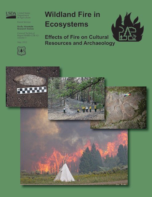 https://img.yumpu.com/20859398/1/500x640/wildland-fire-in-ecosystems-usda-forest-service.jpg