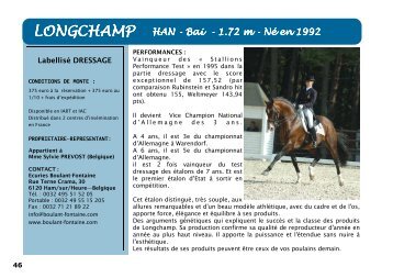 longchamp - France Dressage