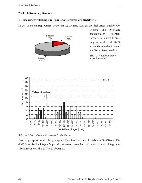 Bachforellensömmerlinge Phase II - Fischnetz