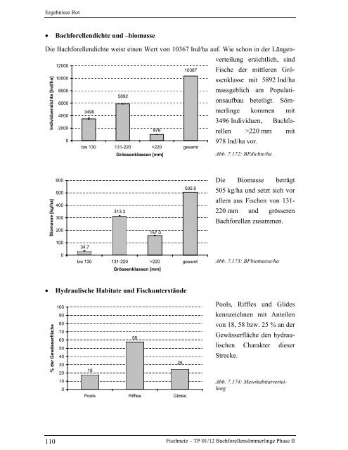 Bachforellensömmerlinge Phase II - Fischnetz