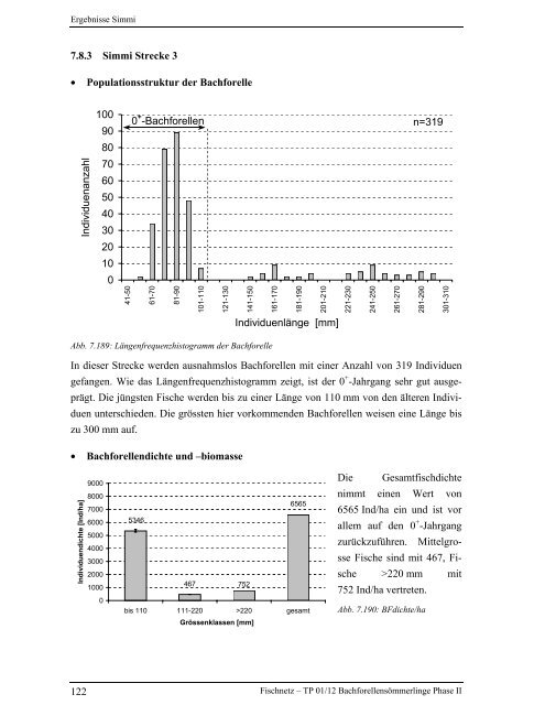 Bachforellensömmerlinge Phase II - Fischnetz