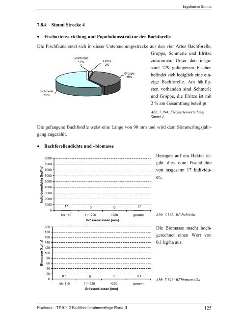 Bachforellensömmerlinge Phase II - Fischnetz