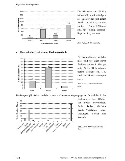 Bachforellensömmerlinge Phase II - Fischnetz