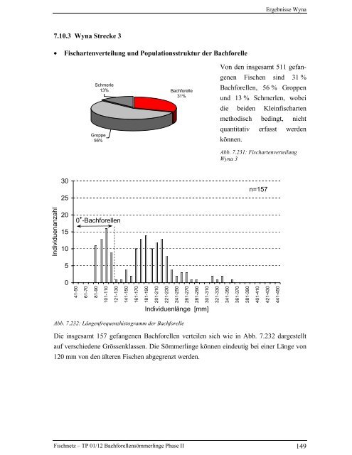 Bachforellensömmerlinge Phase II - Fischnetz