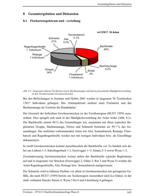 Bachforellensömmerlinge Phase II - Fischnetz