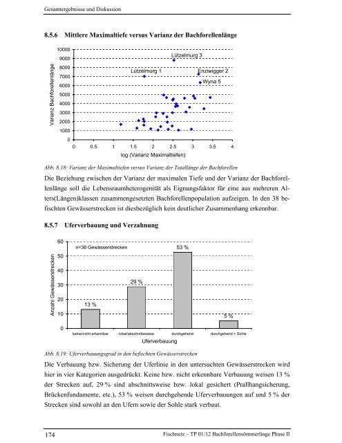 Bachforellensömmerlinge Phase II - Fischnetz