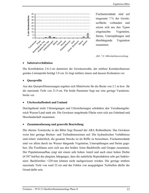 Bachforellensömmerlinge Phase II - Fischnetz