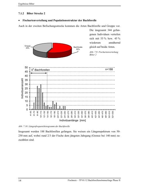 Bachforellensömmerlinge Phase II - Fischnetz