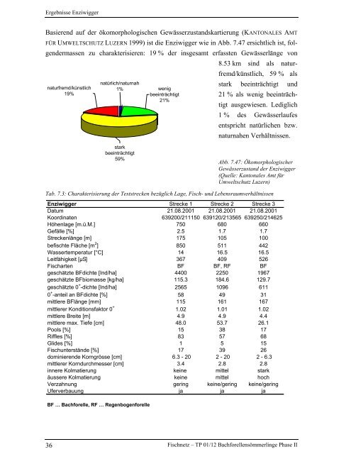 Bachforellensömmerlinge Phase II - Fischnetz