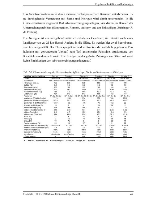 Bachforellensömmerlinge Phase II - Fischnetz