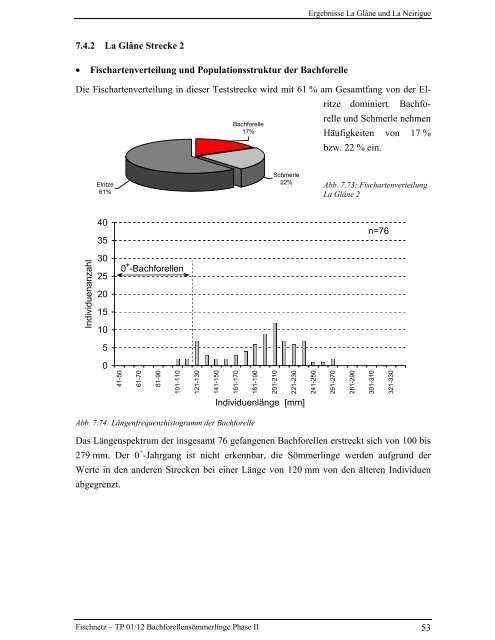 Bachforellensömmerlinge Phase II - Fischnetz