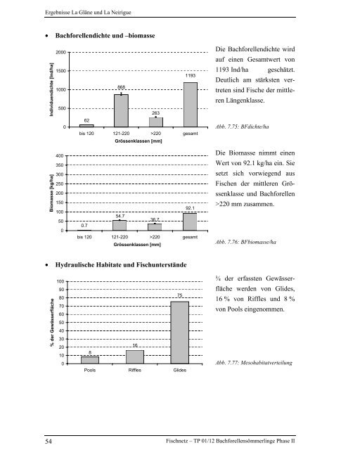 Bachforellensömmerlinge Phase II - Fischnetz