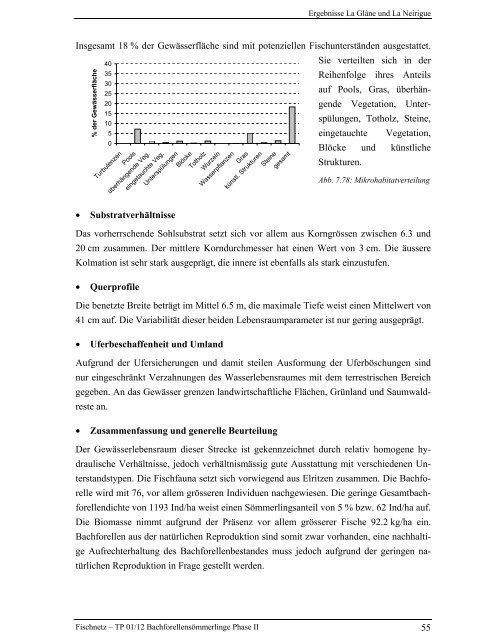 Bachforellensömmerlinge Phase II - Fischnetz