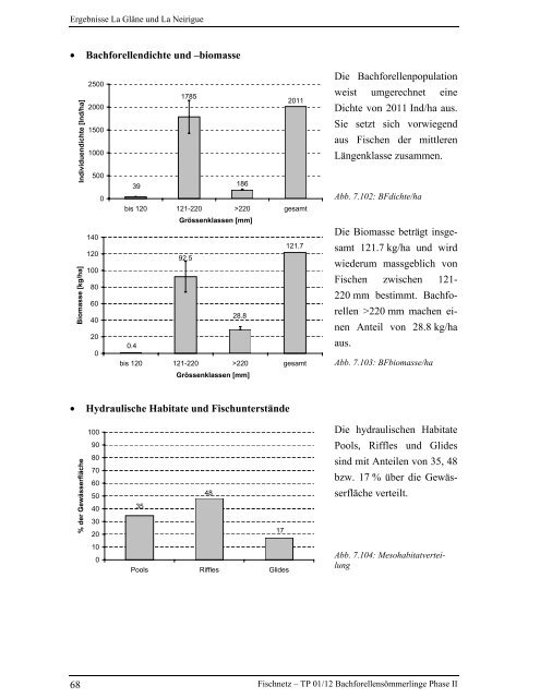 Bachforellensömmerlinge Phase II - Fischnetz