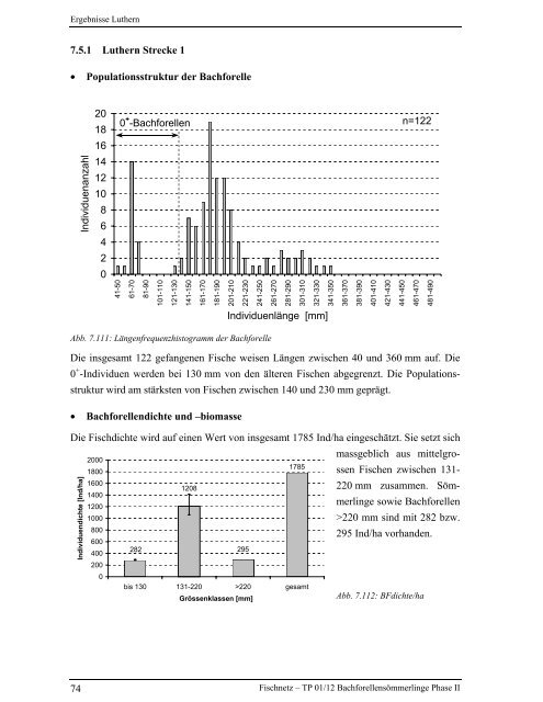 Bachforellensömmerlinge Phase II - Fischnetz