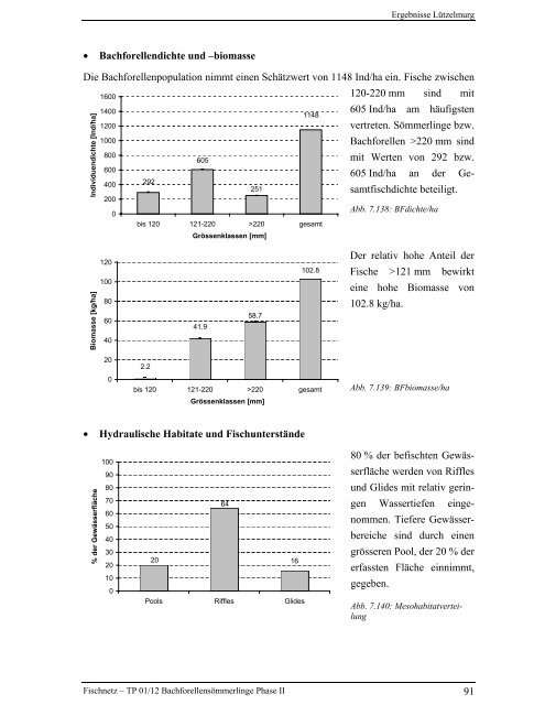 Bachforellensömmerlinge Phase II - Fischnetz