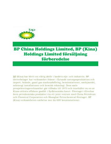 BP China Holdings Limited, BP (China) Holdings Limited Company Information.pdf
