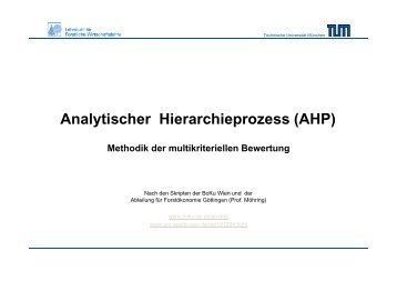 Analytischer Hierarchieprozess (AHP) - FWL - Technische ...