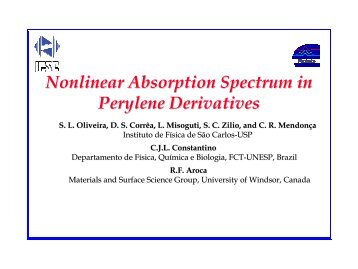 Nonlinear Absorption Spectrum in Perylene Derivatives