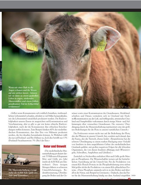 Tiere leben lassen - Magazin Freiheit für Tiere