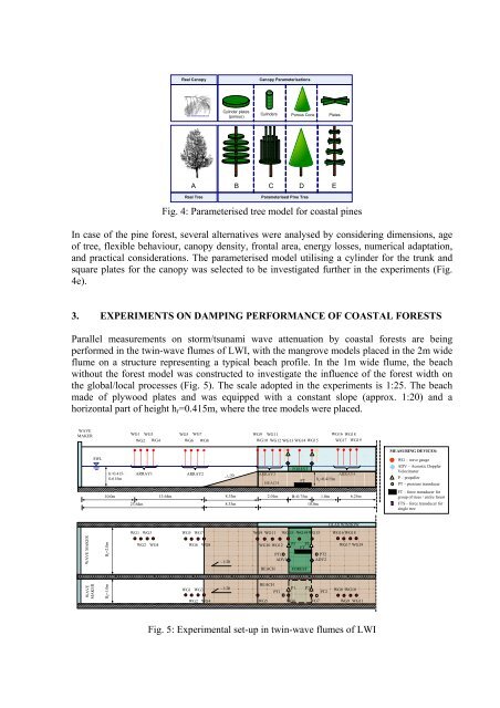 DAMPING TSUNAMI AND STORM WAVES BY COASTAL ... - FZK